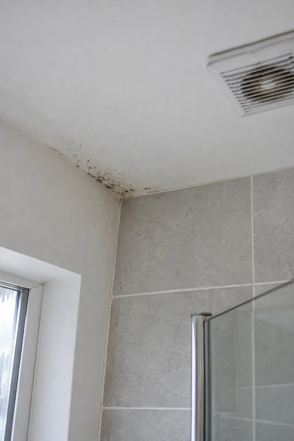 Mould spotting at a bathroom ceiling corner near an extractor grille