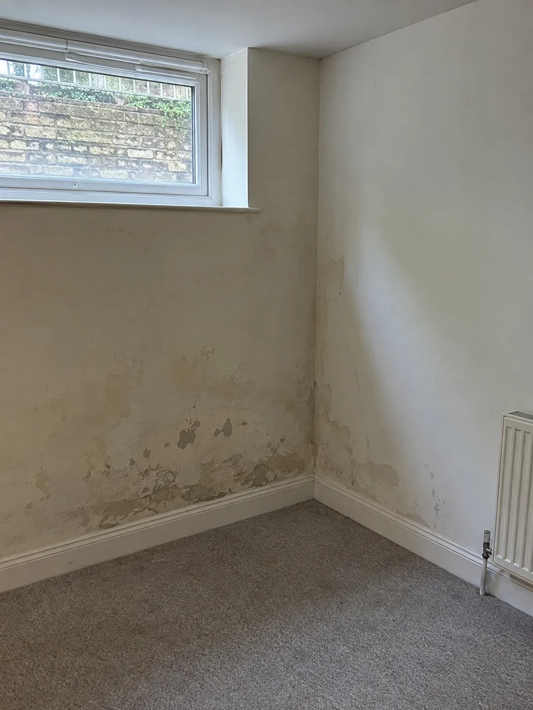 Peeling damp plaster below a high window in a lower-ground room
