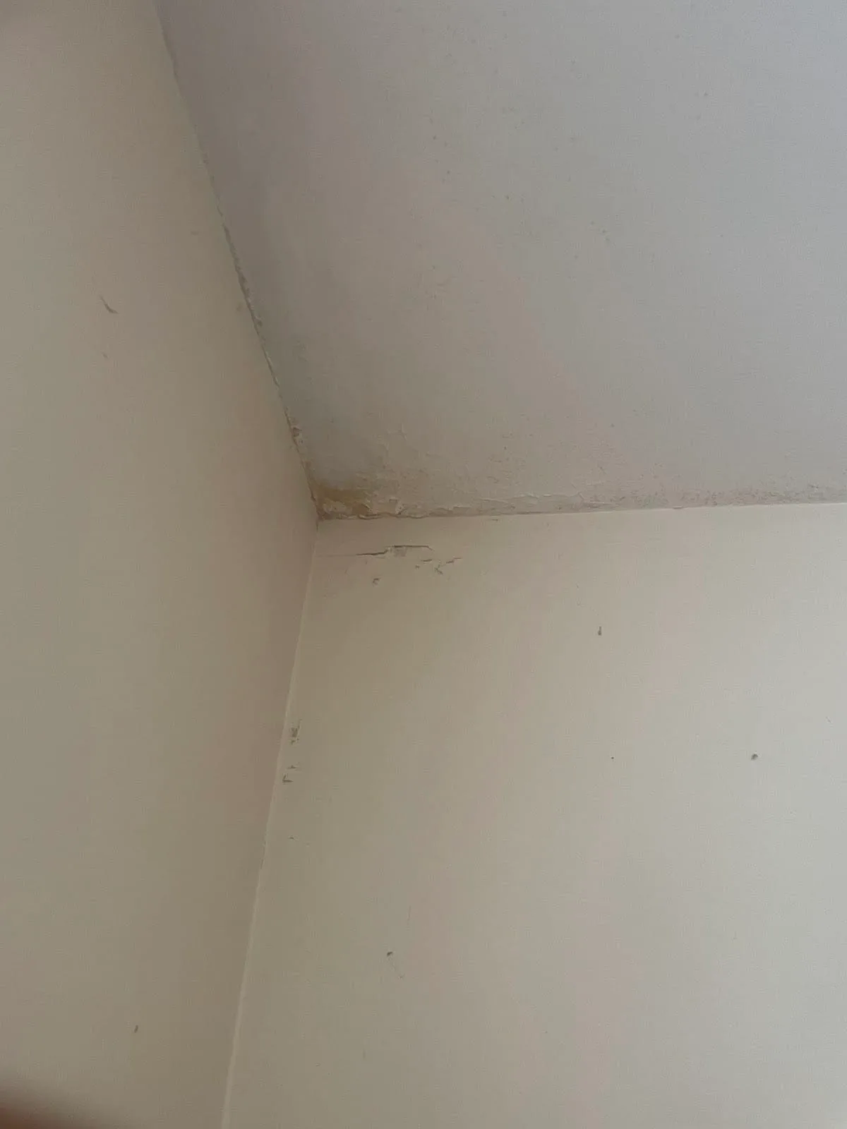 Damp staining near a ceiling joint